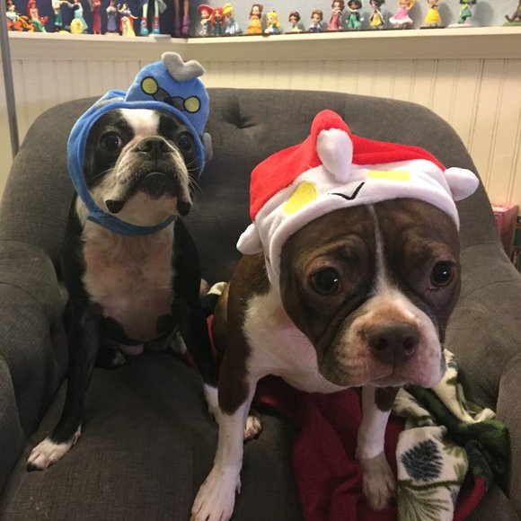 Meet your Posher, Kara - Picture 10 of 16